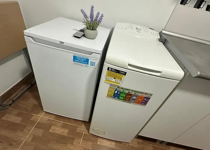 Coqueto Estudio Centrico מאלגה